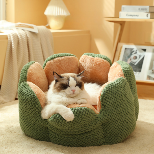Woven Cactus – Cozy Knitted Design for Deep Sleep Cat Bed