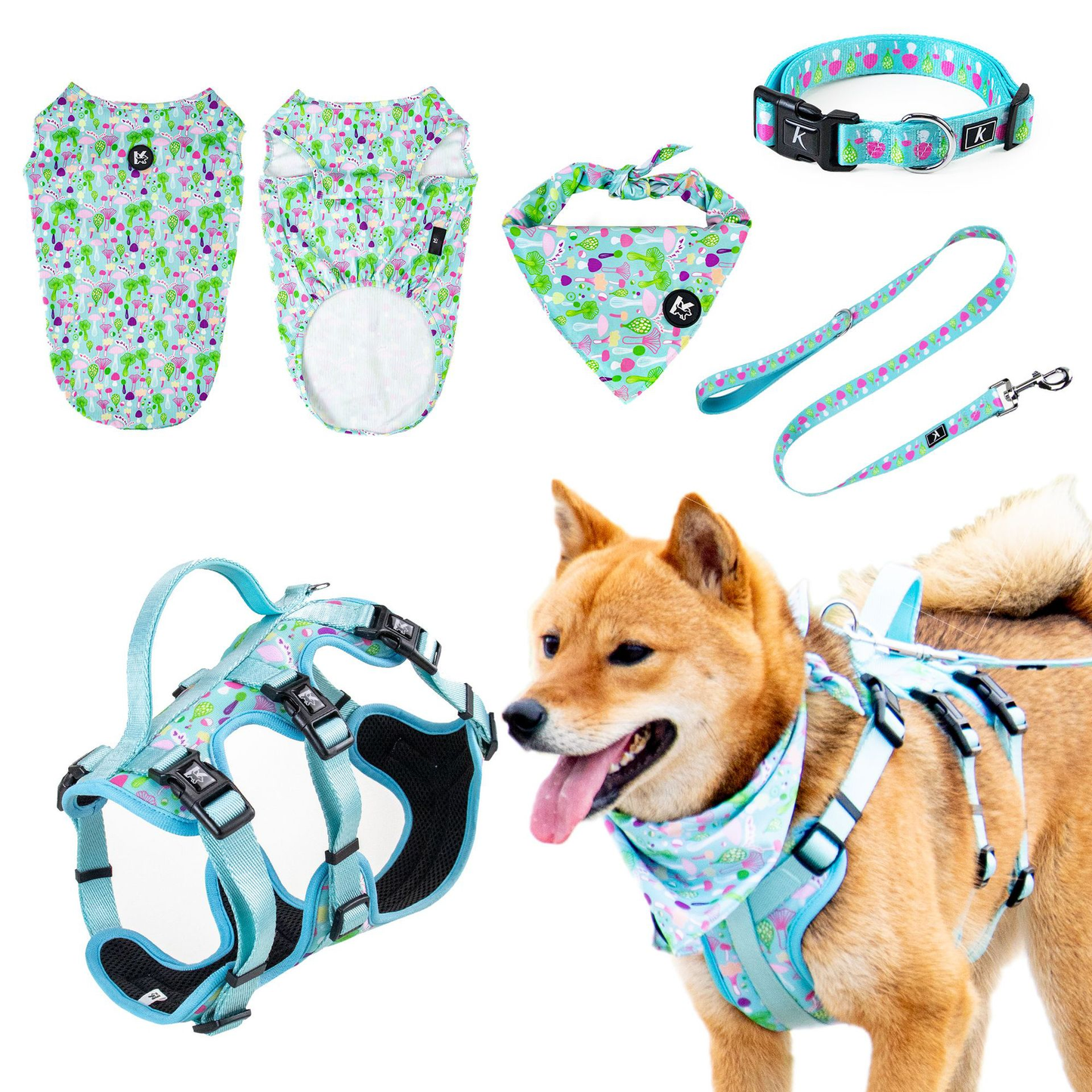Oil Painting Pet Set Dog Supplies