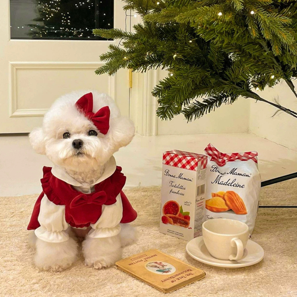 Puppy Christmas Princess Dress