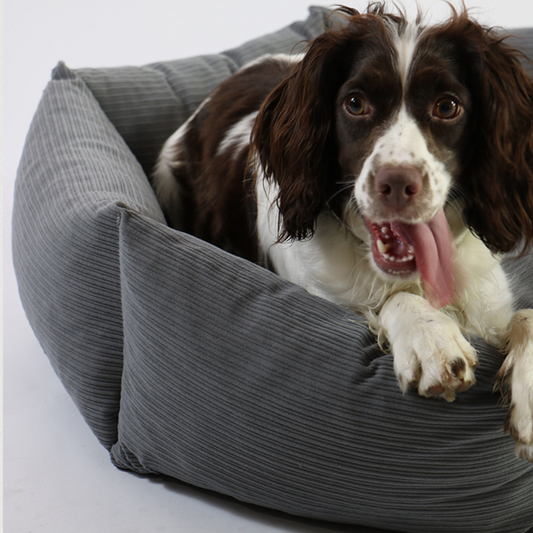 Hexagon Supportive Scratch-Resistant Chew-Proof Cat Bed