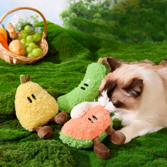 Catnip Plush Fruit Cat Toys | Healthy Green Play Toy