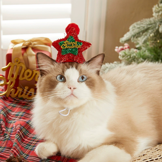 Pet Christmas Hat & Scarf – Festive Accessories for Cats and Dogs