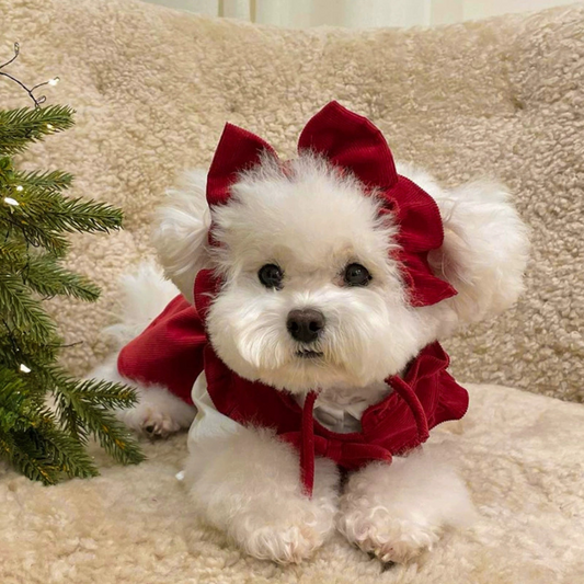 Puppy Christmas Princess Dress