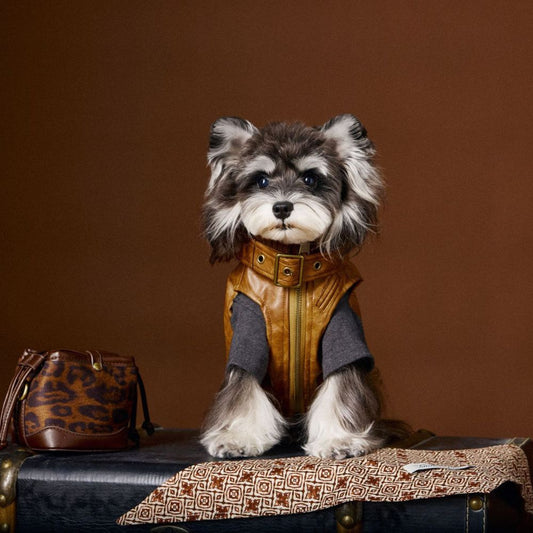 Autumn Vintage Cool Sleeveless Leather Dog Vest