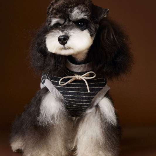 Dog Autumn Striped Sleeveless Hoodie