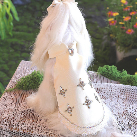 High-end pet dress with rhinestones for small breed dogs