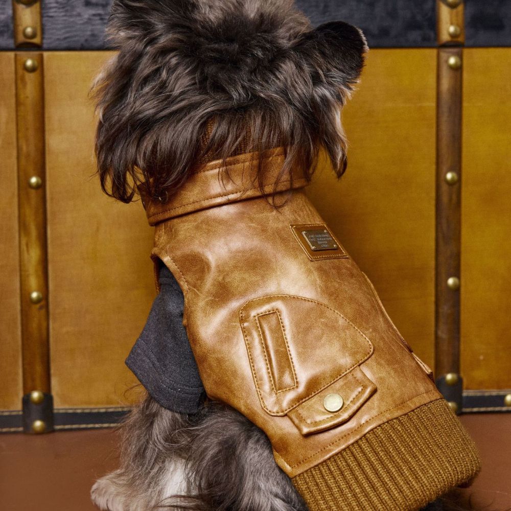Autumn Vintage Cool Sleeveless Leather Dog Vest