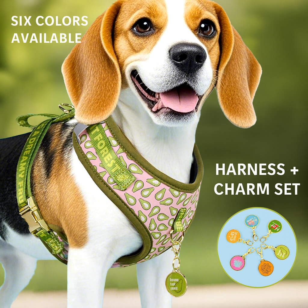 Prints and Durable Dog