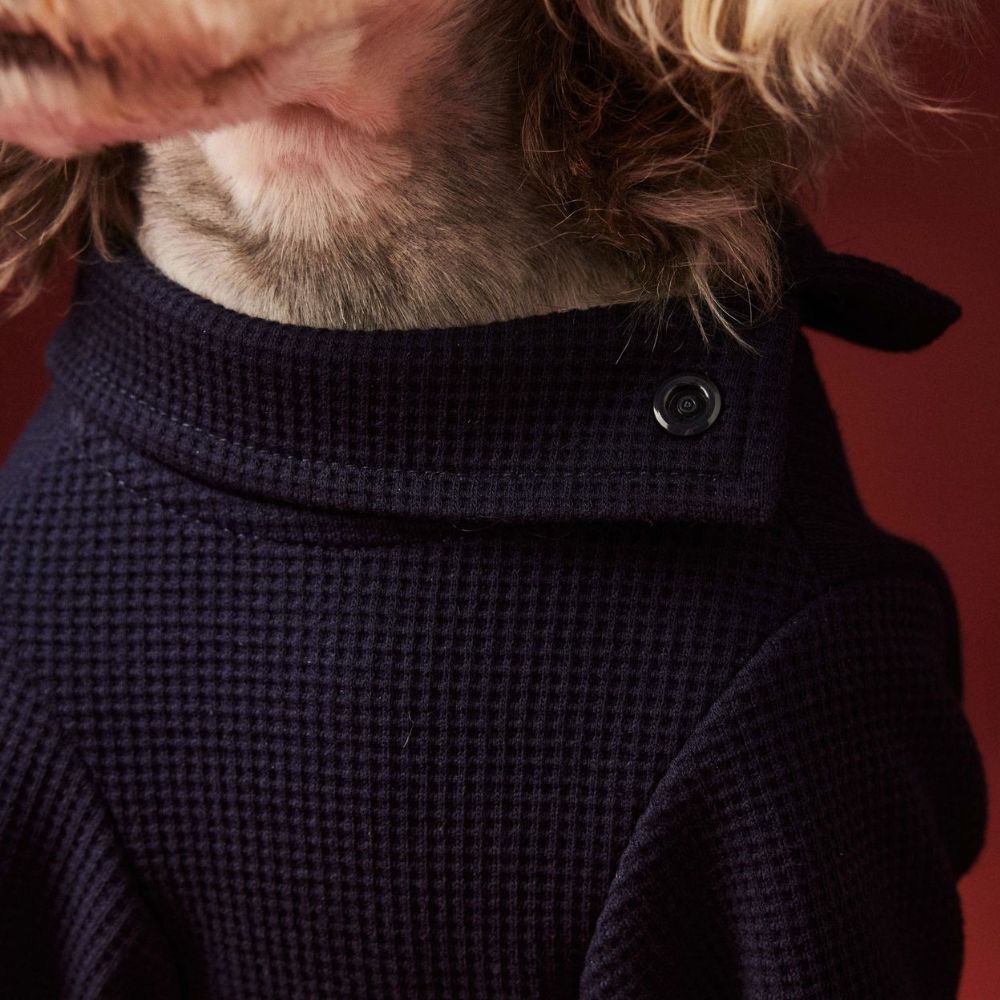 Autumn Winter Waffle Four-Leg Dog Base Shirt