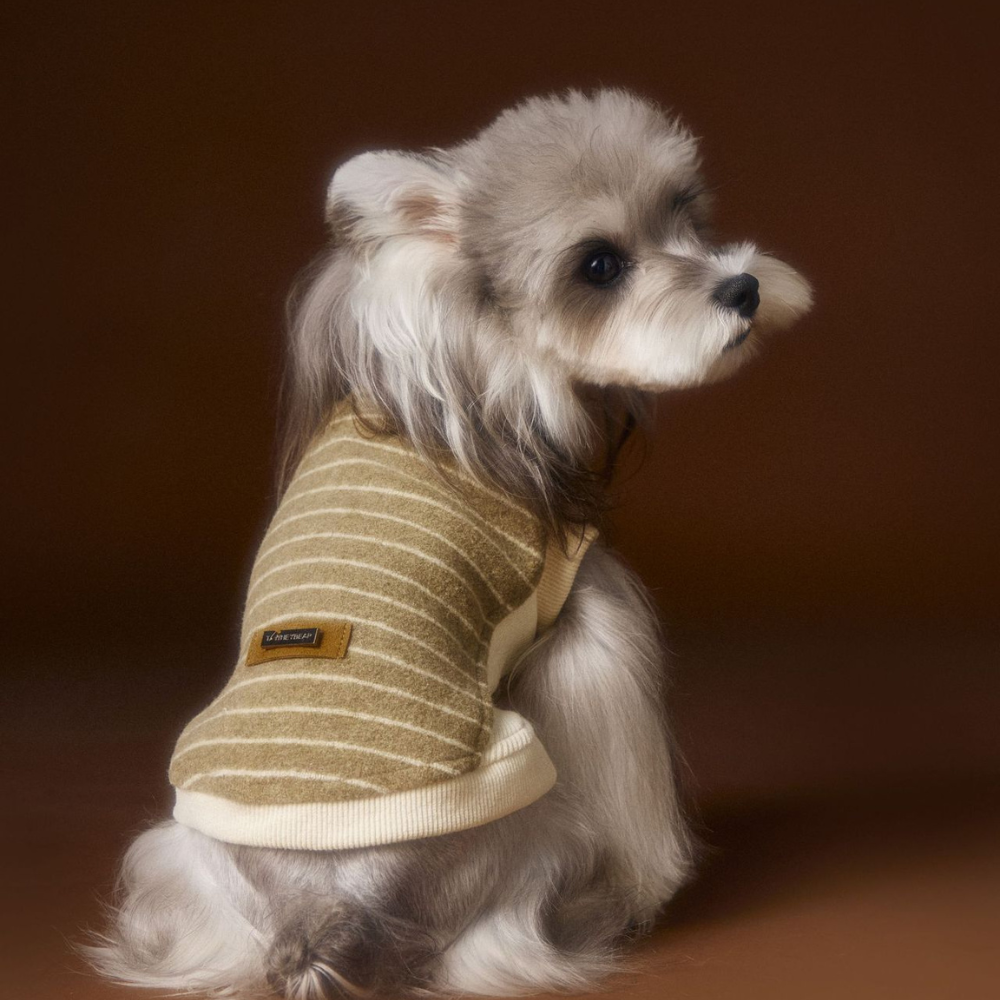 Dog Autumn Striped Sleeveless Hoodie