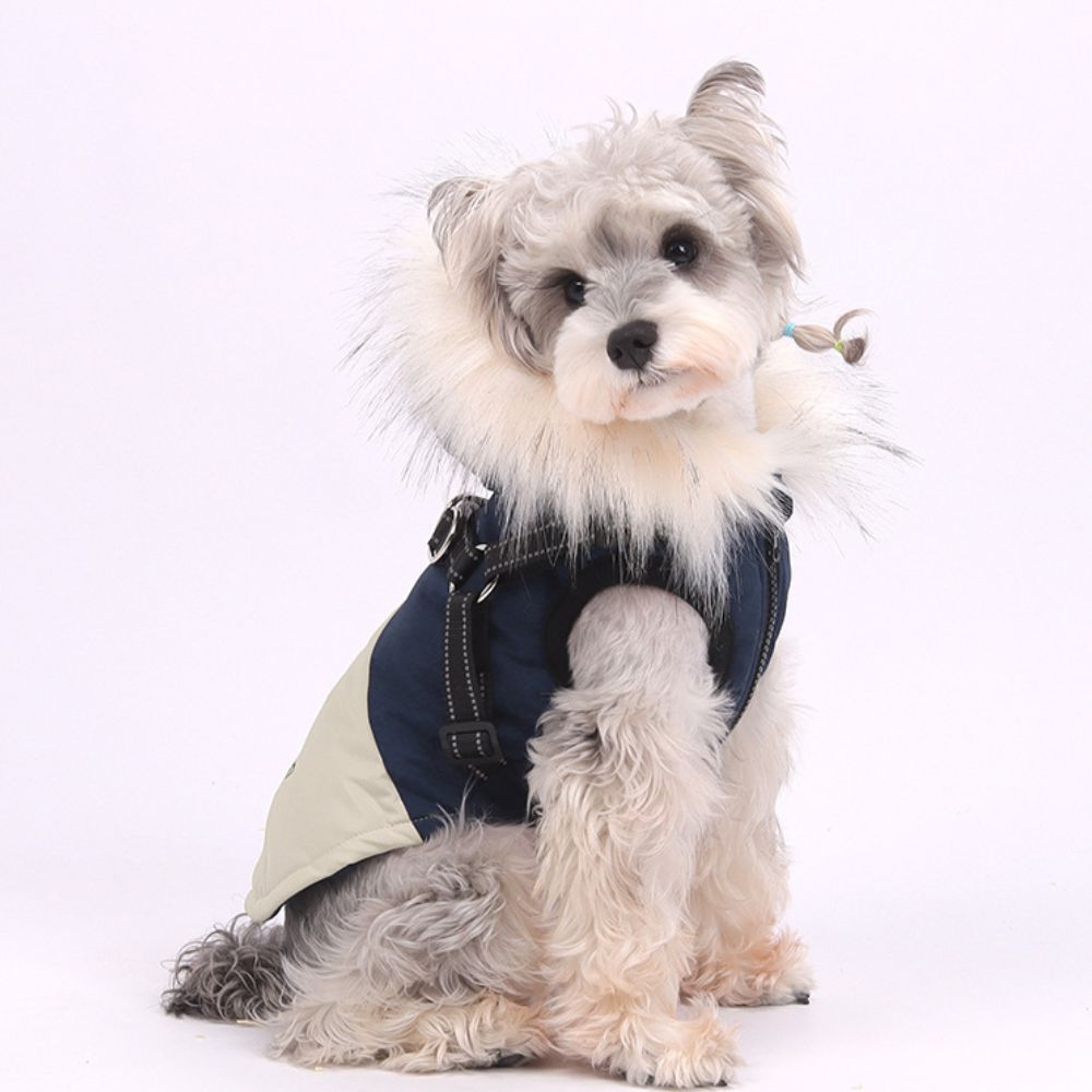 Winter with Harness Dog Coat