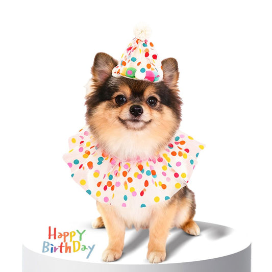 Birthday Party Cat Costume