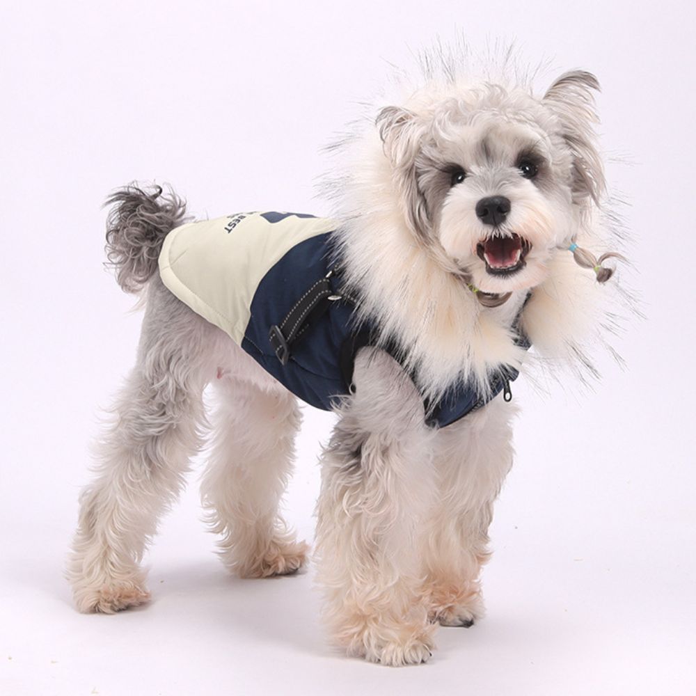 Winter with Harness Dog Coat