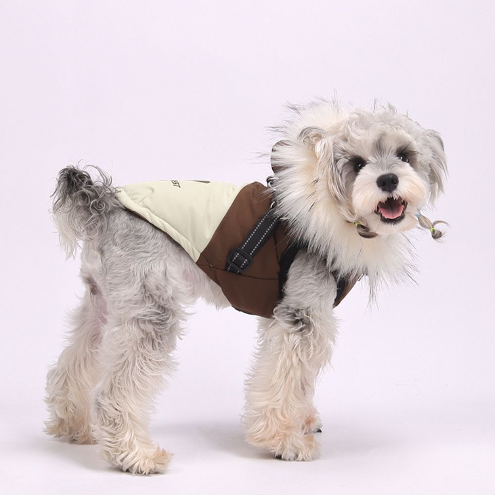 Winter with Harness Dog Coat