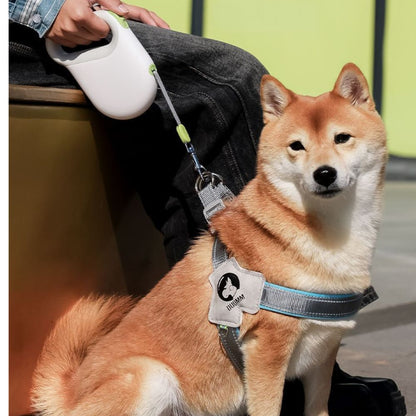 Retractable Reflective Dog Leash