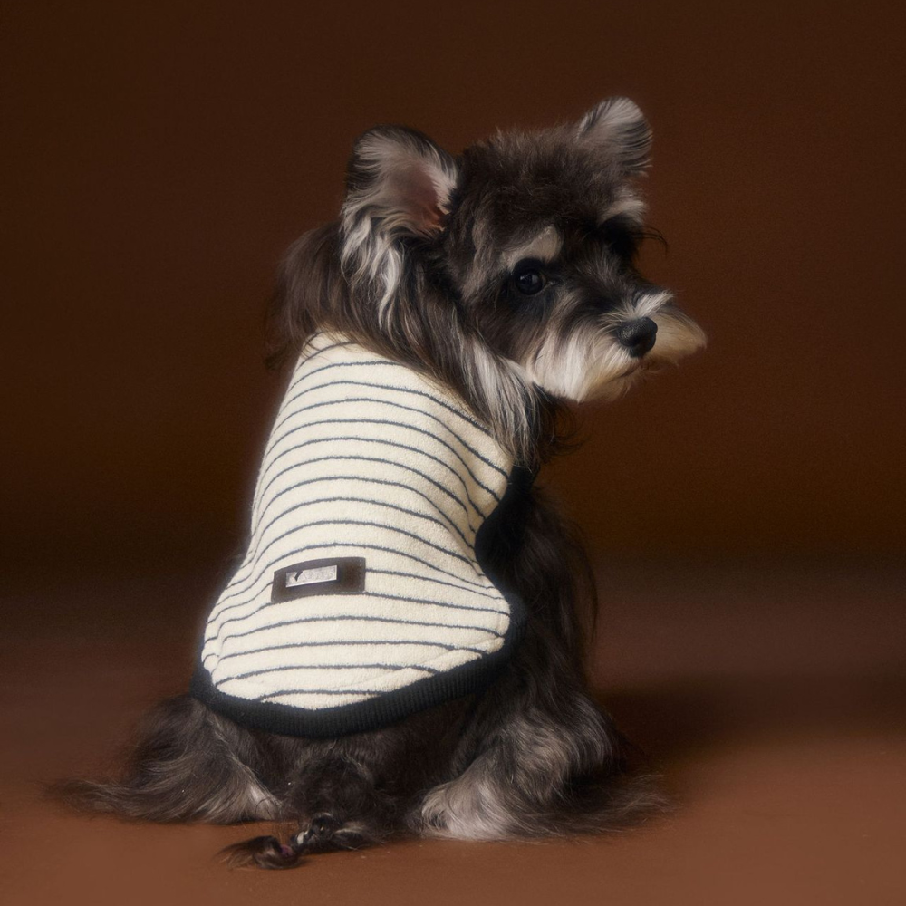 Dog Autumn Striped Sleeveless Hoodie