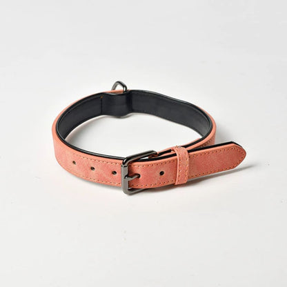 Personalized Leather Dog Collar with Engraved Nameplate
