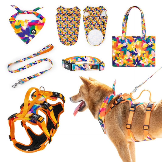 Oil Painting Pet Set Dog Supplies