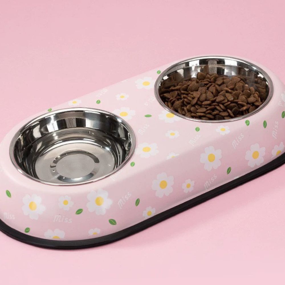 Colorful Printed Double Stainless Steel Pet Bowl