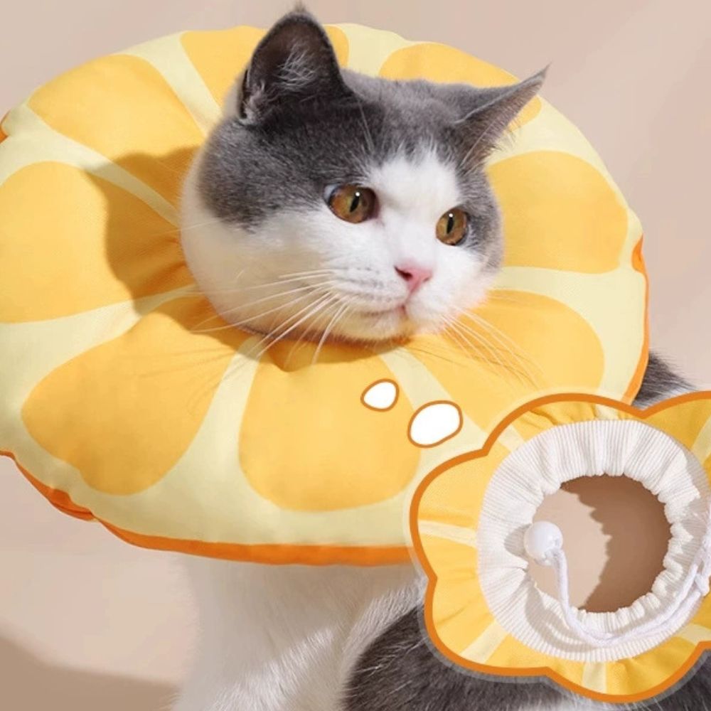 Adjustable Waterproof Pet Recovery Collar – Soft and Cute Design