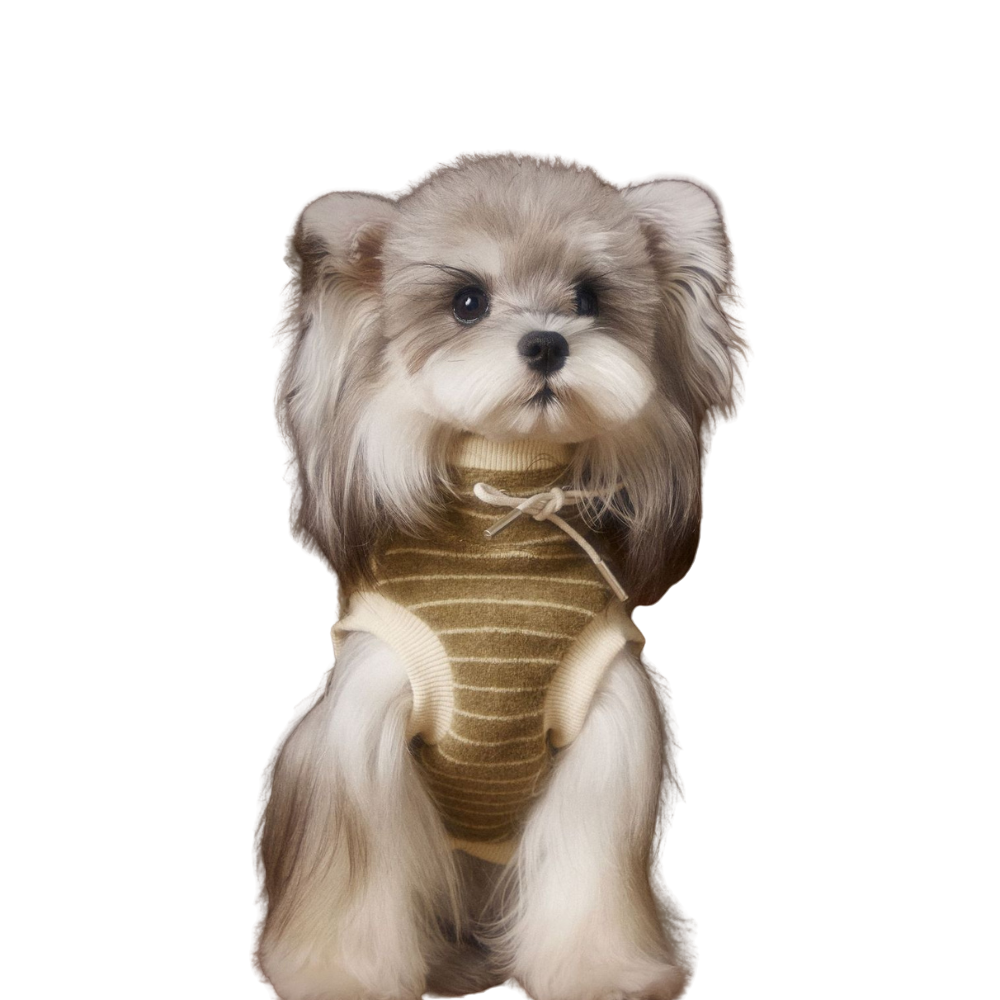 Dog Autumn Striped Sleeveless Hoodie