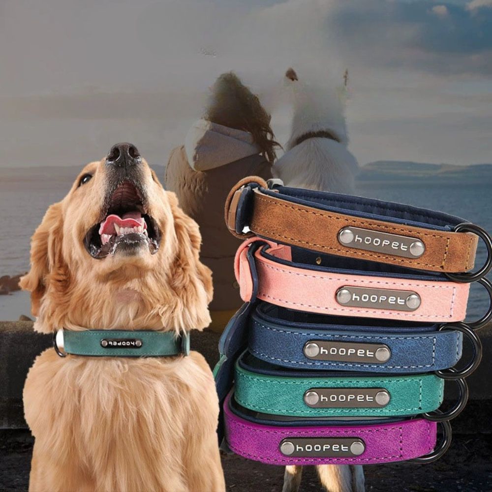 Personalized Leather Dog Collar with Engraved Nameplate