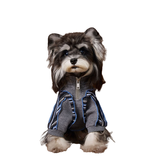 Dog Autumn Sportswear Striped Patchwork Zip-Up Hoodie