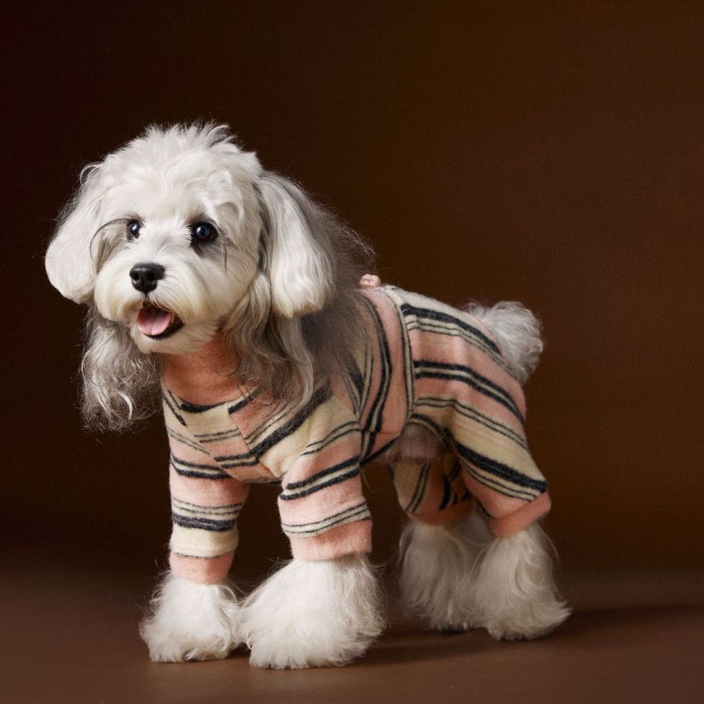 Warm Striped Four-Leg Thick Undershirt Dog Sweatshirt
