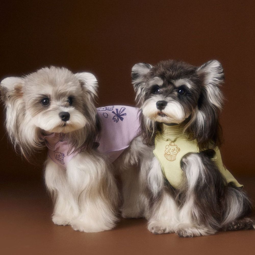 Autumn Reversible Striped Ruffle Undershirt Sleeveless Dog Vest