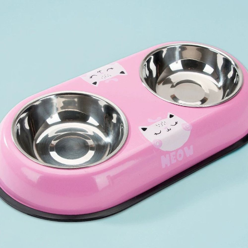 Colorful Printed Double Stainless Steel Pet Bowl
