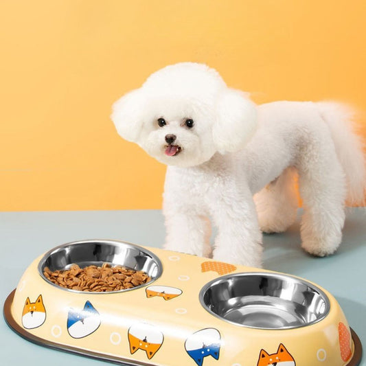 Colorful Printed Double Stainless Steel Pet Bowl