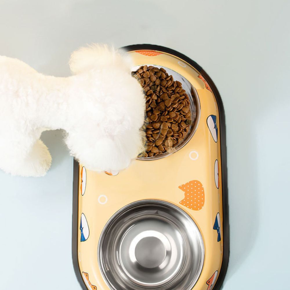 Colorful Printed Double Stainless Steel Pet Bowl