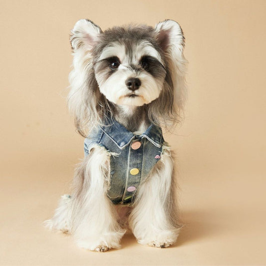 Spring Summer Embroidered Frayed Denim Dog Vest