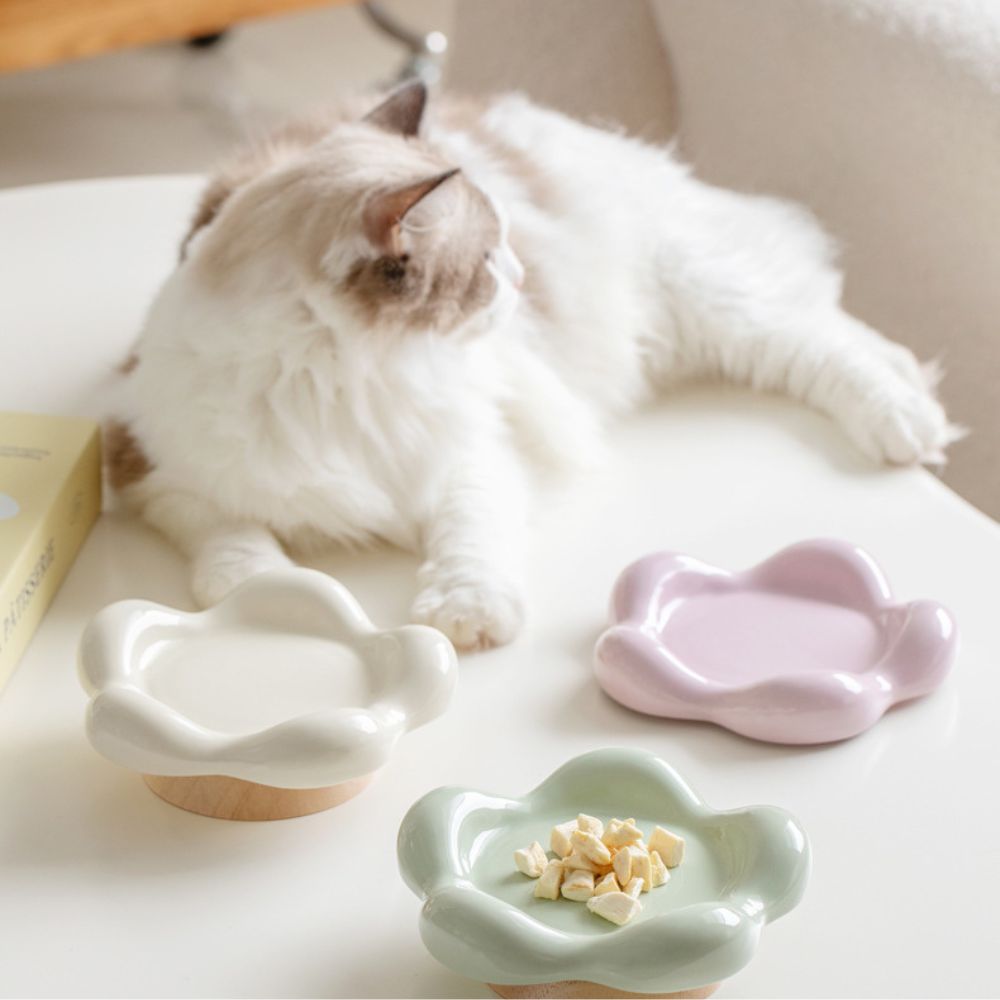 Ceramic Raised Cat Bowl | Pet Food Dish for Cats and Dogs