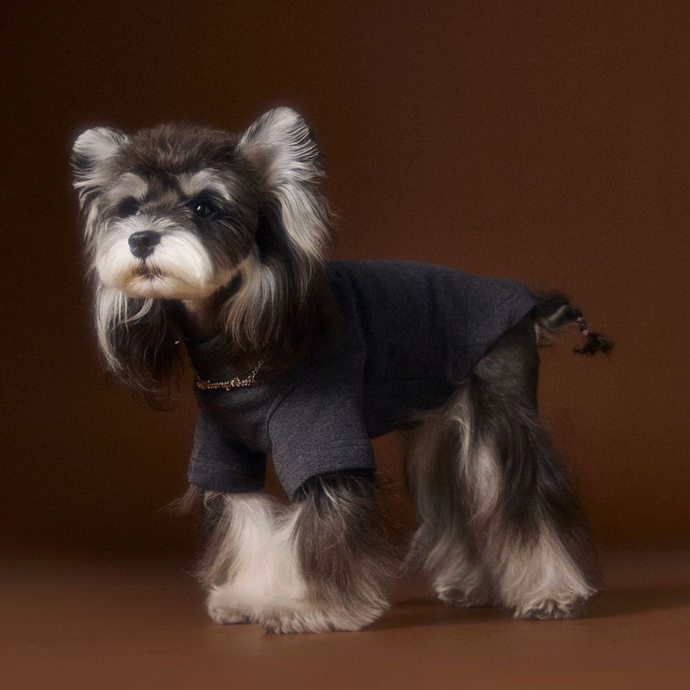 Stylish Solid Color Dog Necklace Two Leg Undershirt Shirt