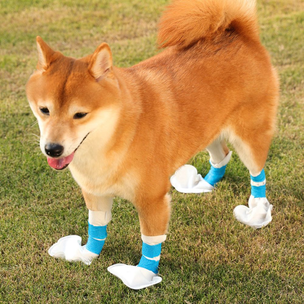 Disposable Waterproof Dog Shoe Covers – Outdoor Pet Boots