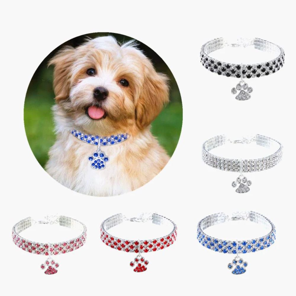 Sparkling Crystal Pet Collar – Adjustable Rhinestone Necklace with Paw Charm