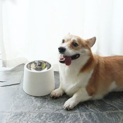 Elevated Stainless Steel Dog Bowl with Detachable Base