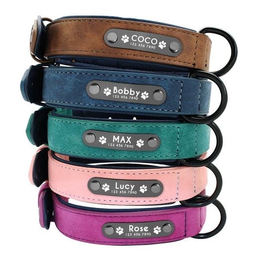 Personalized Leather Dog Collar with Engraved Nameplate