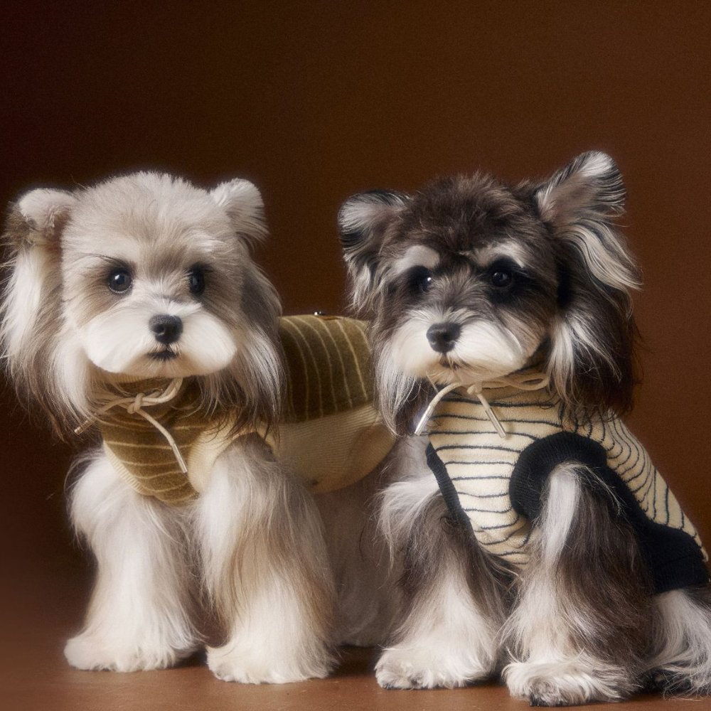 Dog Autumn Striped Sleeveless Hoodie