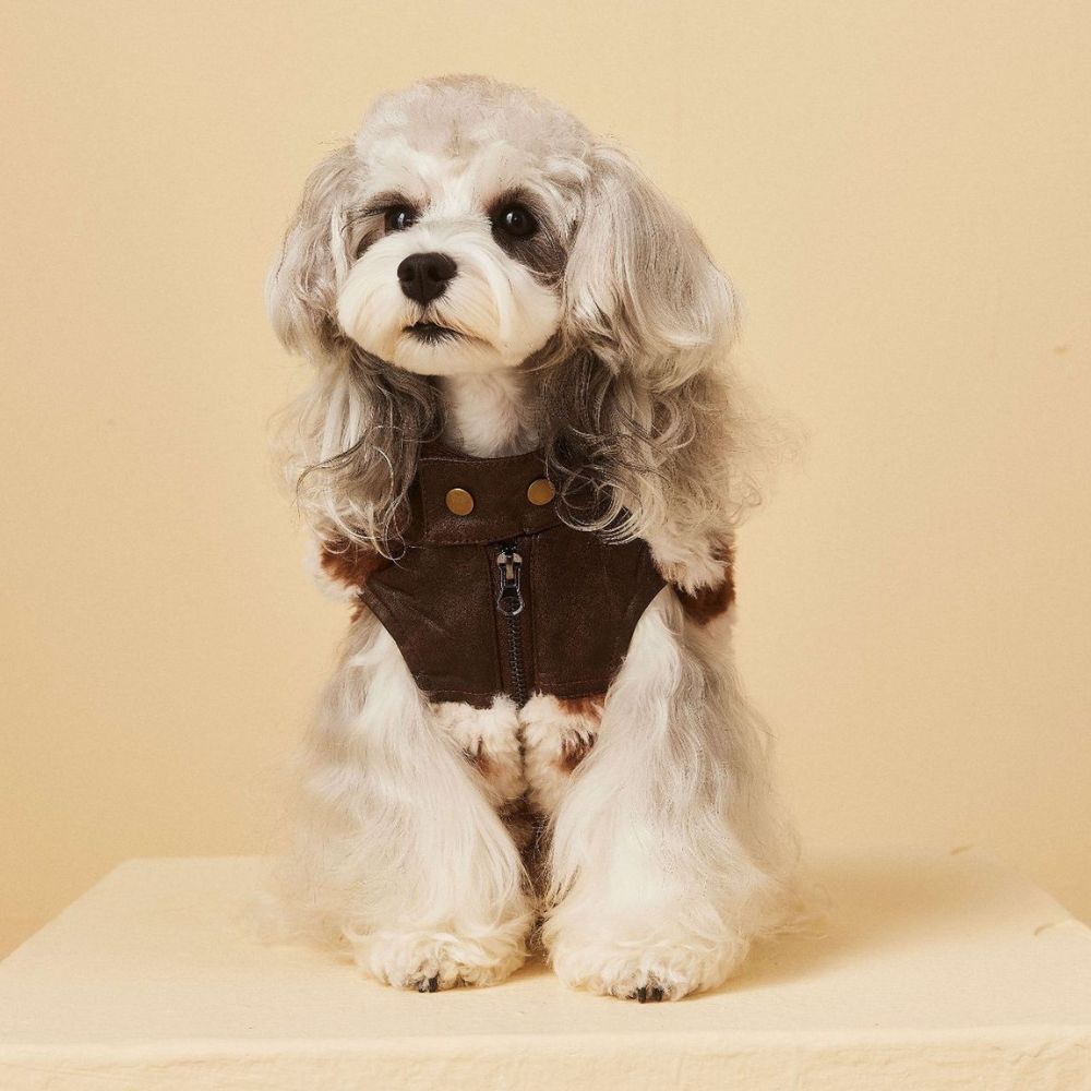 Warm Patchwork Dog Vest for Fall Winter