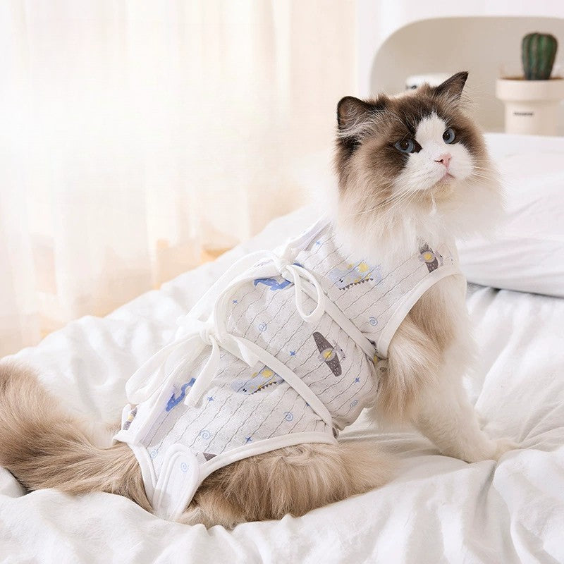 Cat Recovery Suit – Anti-Lick Post-Surgery Outfit for All Seasons