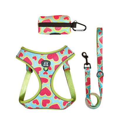 Dog Harness Walking