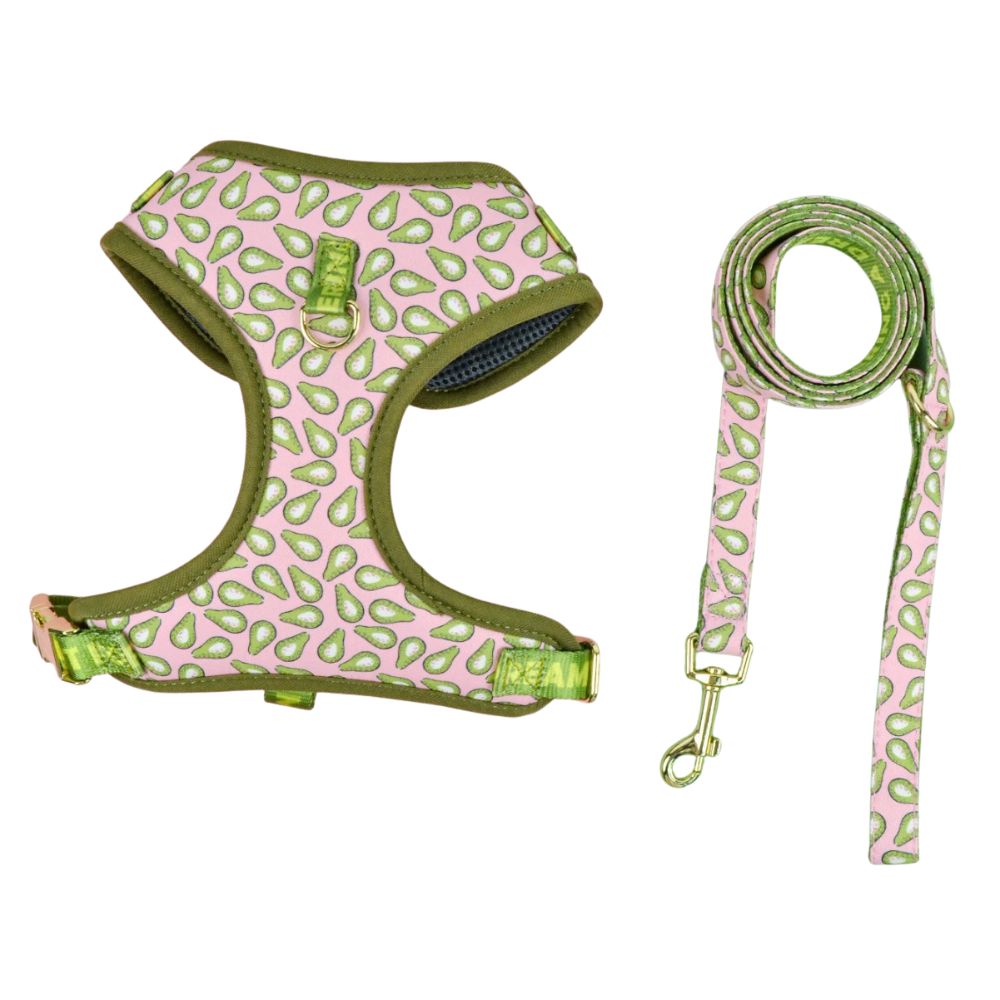 Prints and Durable Dog