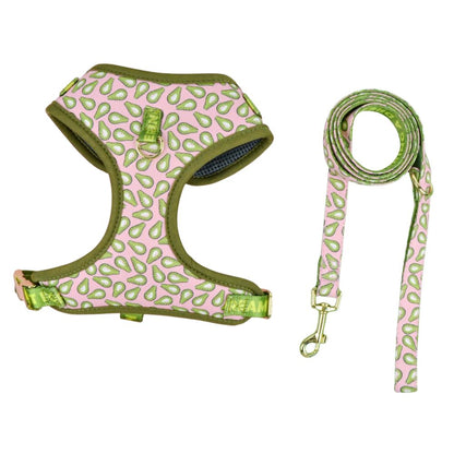 Prints and Durable Dog