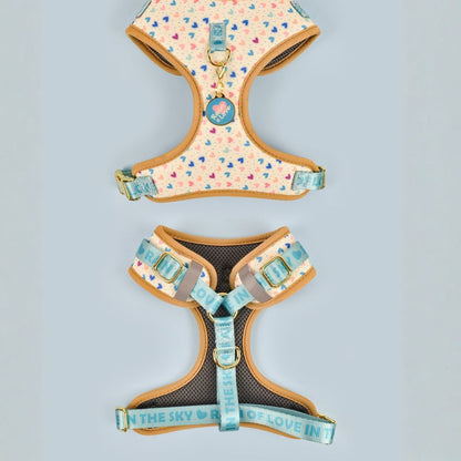 Prints and Durable Dog