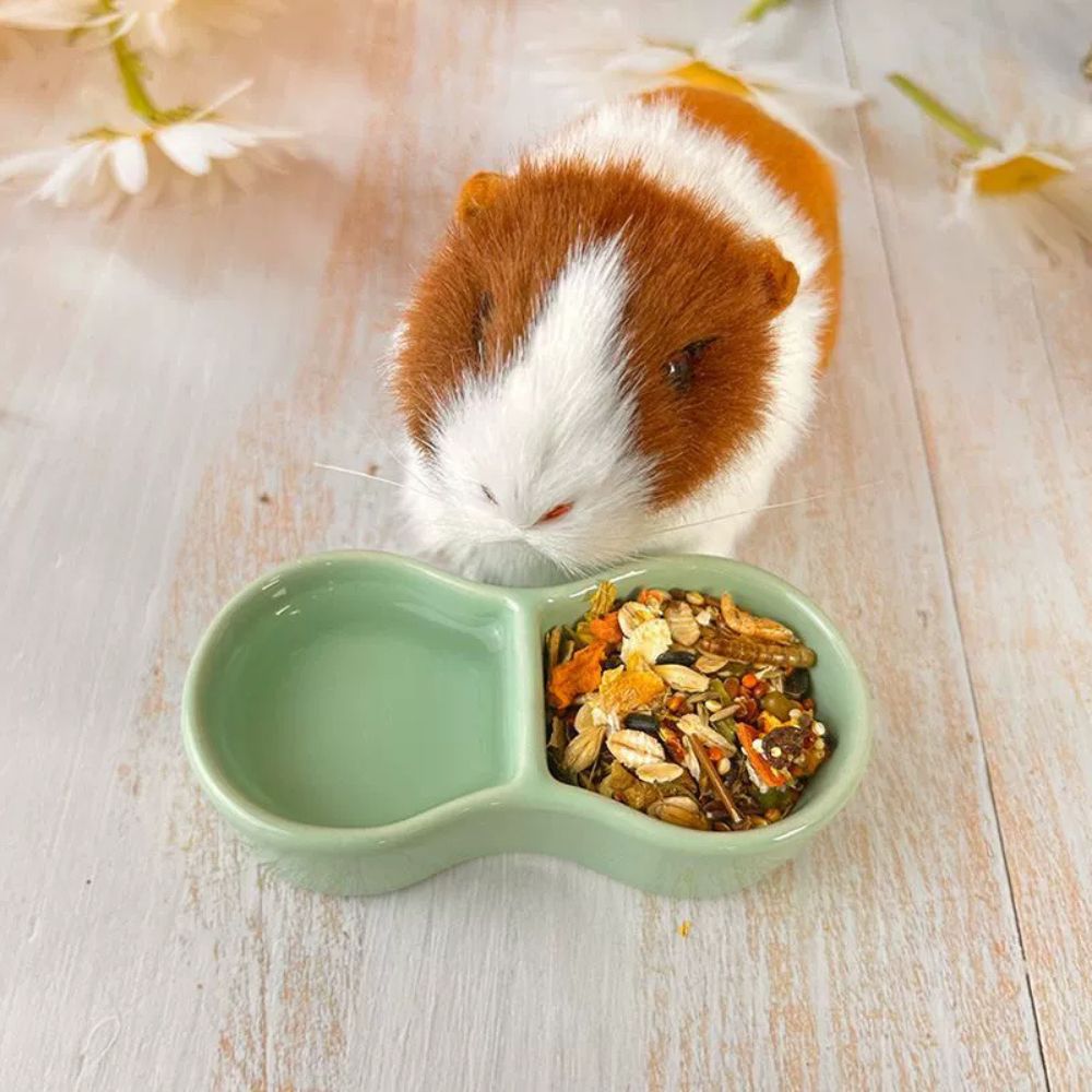 Ceramic Feeding Bowl for Hamsters, Parrots, and Small Pets