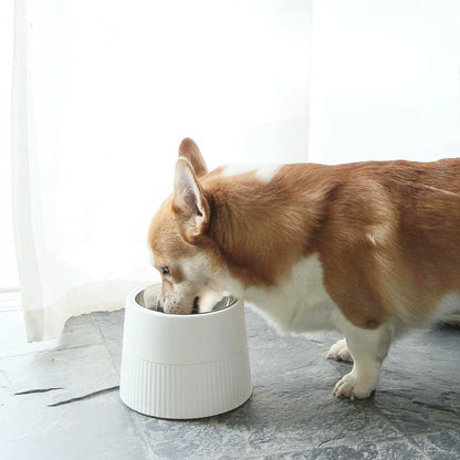 Elevated Stainless Steel Dog Bowl with Detachable Base