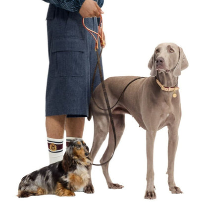 Murakami Style Genuine Leather Dog Collar with Gold Buckle