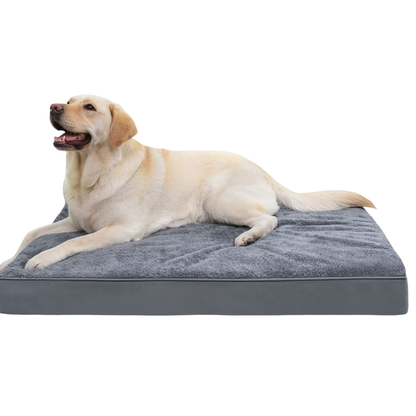 Washable Memory Foam Soft Large Dog Bed